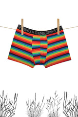 Mens Boxer Rainbow Stripe